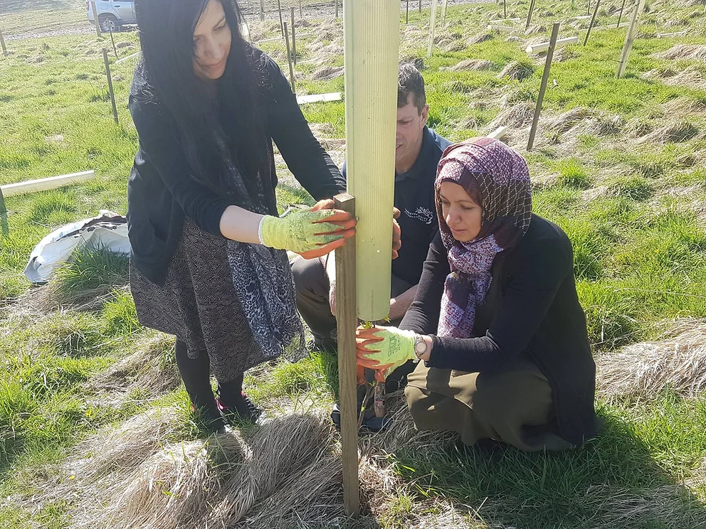 Plant A Tree Project